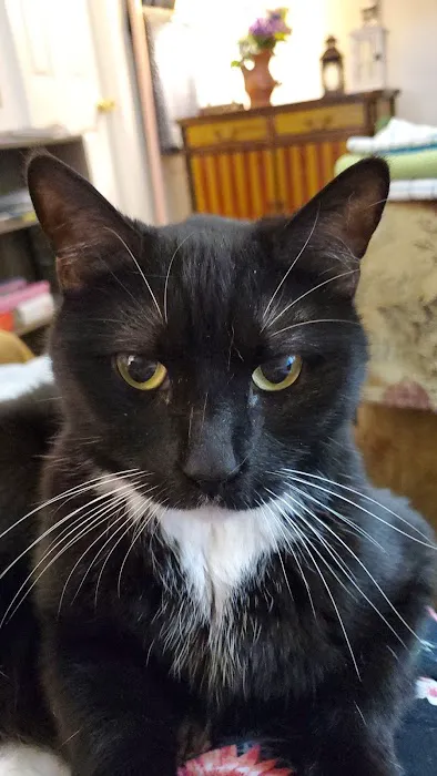 Griffin Animal Care Picture 5