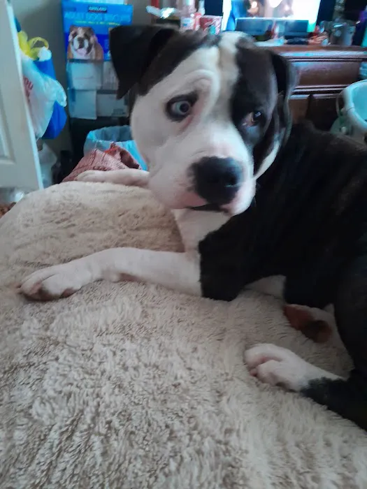 Griffin Animal Care Picture 7