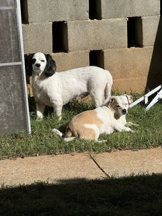 Griffin Animal Care Picture 10