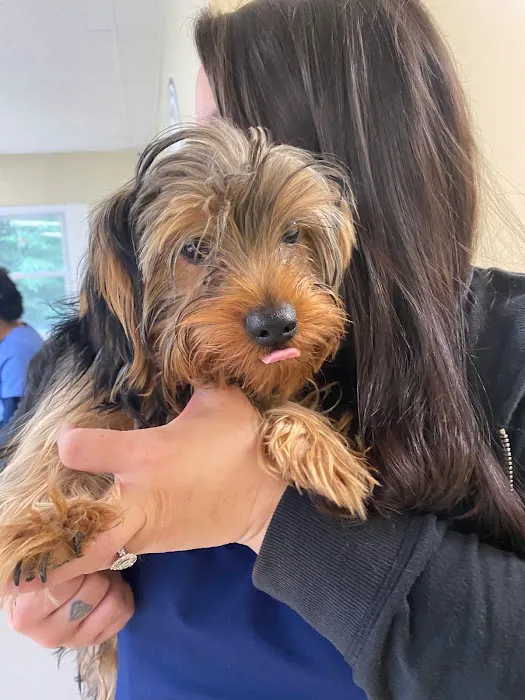 Southwest Veterinary Clinic Picture 8