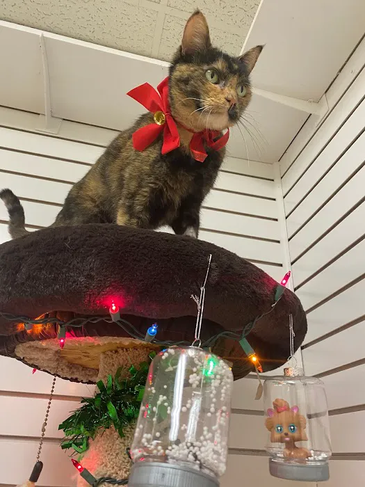 Southwest Veterinary Clinic Picture 7