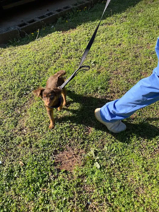 Southwest Veterinary Clinic Picture 6