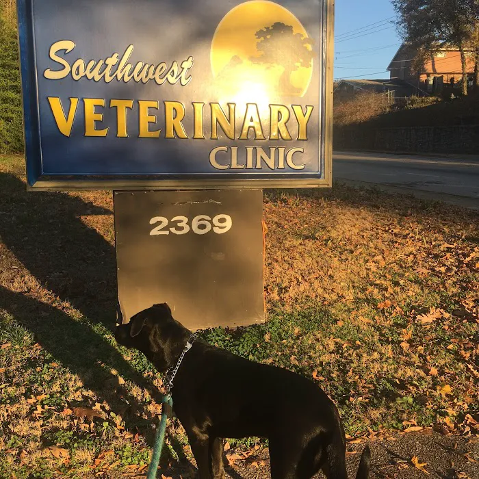 Southwest Veterinary Clinic Picture 9