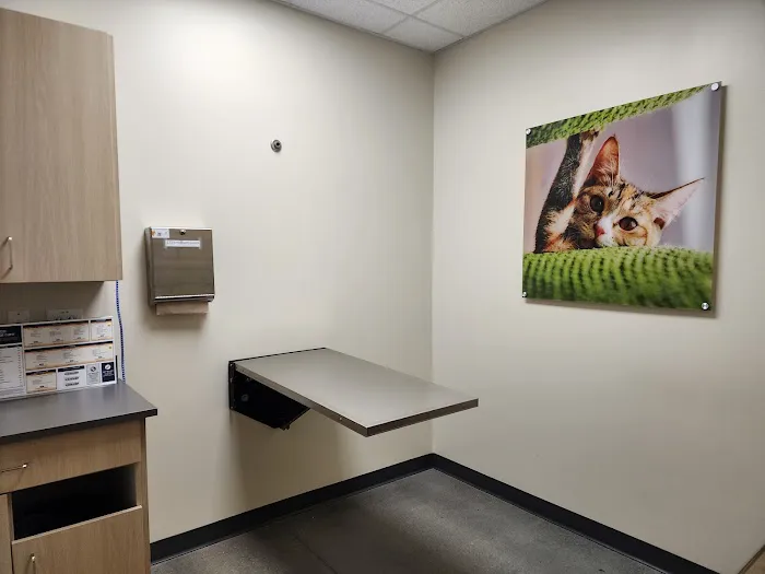 Vetco Total Care Animal Hospital Picture 2