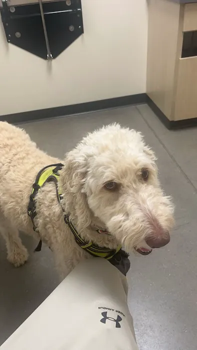 Vetco Total Care Animal Hospital Picture 3