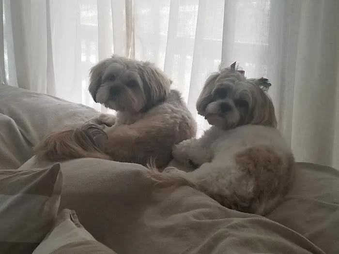 Vetco Total Care Animal Hospital Picture 4