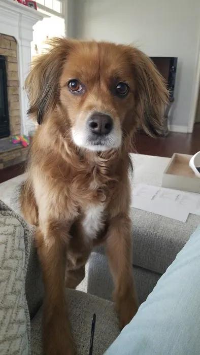 Vetco Total Care Animal Hospital Picture 1