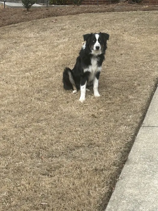 Vetco Total Care Animal Hospital Picture 6