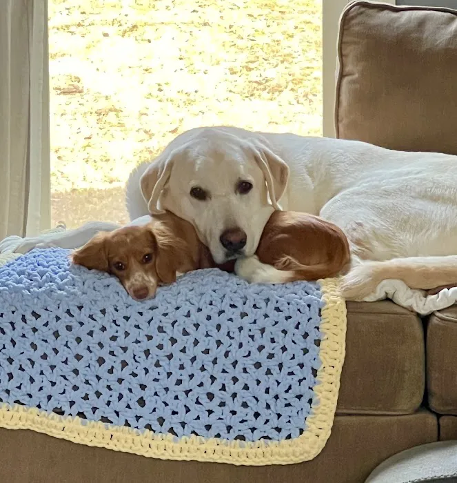 Peachtree City Animal Clinic Picture 1