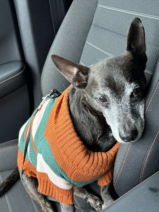 Flat Creek Animal Clinic Picture 2