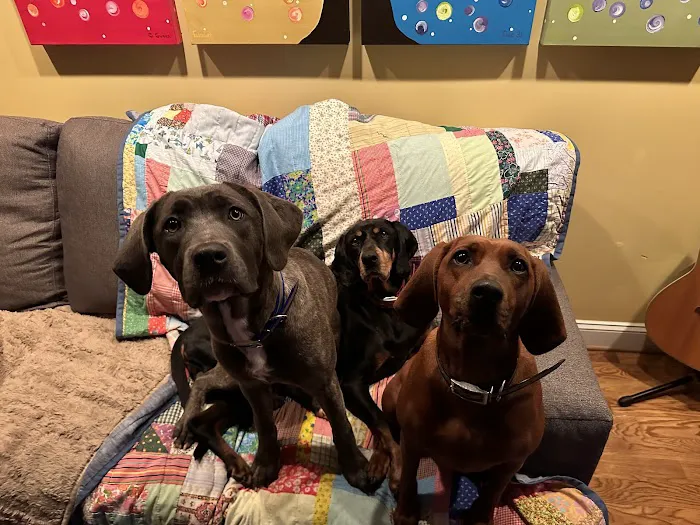 Flat Creek Animal Clinic Picture 1