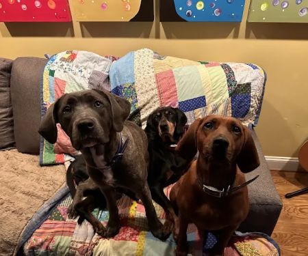 Flat Creek Animal Clinic