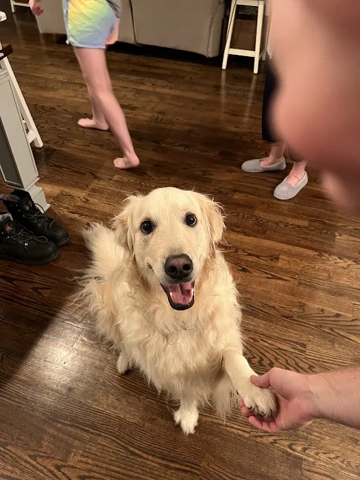 Flat Creek Animal Clinic Picture 6