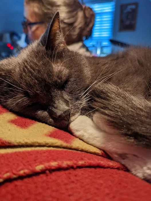 Flat Creek Animal Clinic Picture 5