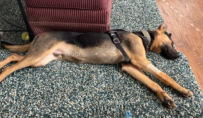 Flat Creek Animal Clinic Picture 9