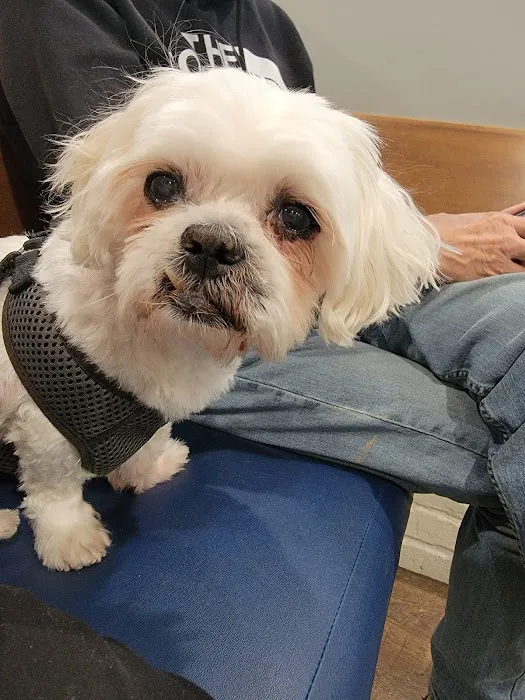 Flat Creek Animal Clinic Picture 7