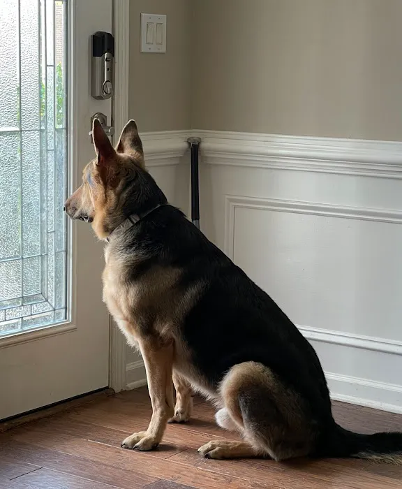 Flat Creek Animal Clinic Picture 8