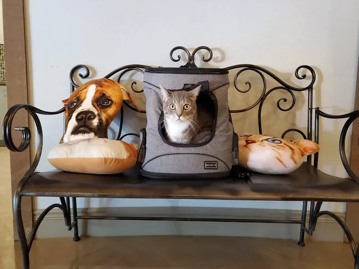 Animal Medical Clinic of Peachtree City Picture 2