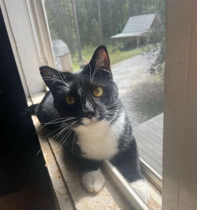 Cat Care of Fayette Picture 1