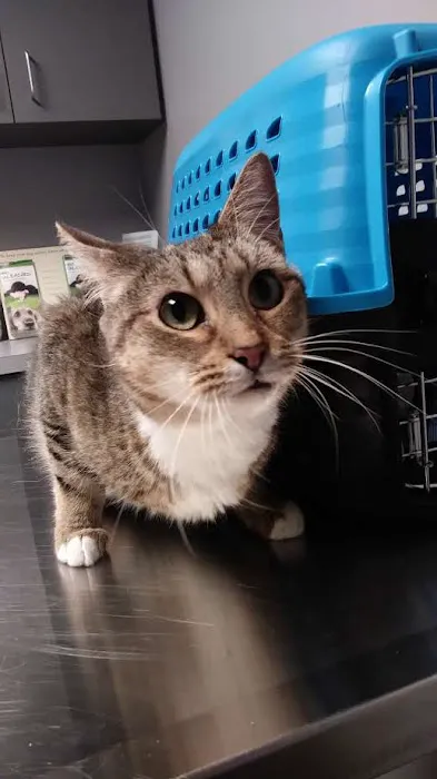 West End Animal Wellness Center Picture 1