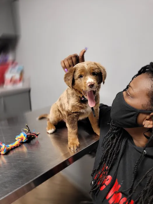 West End Animal Wellness Center Picture 3