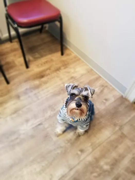 West End Animal Wellness Center Picture 5