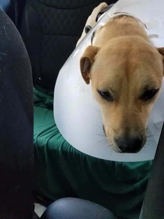 West End Animal Wellness Center Picture 4