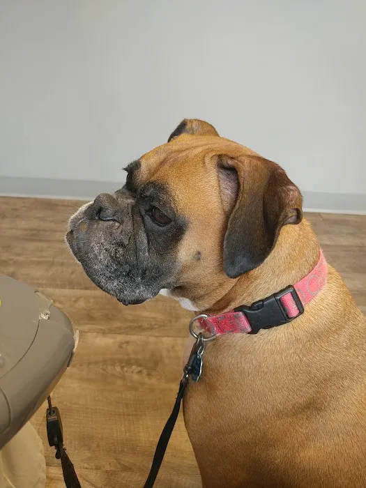 West End Animal Wellness Center Picture 7