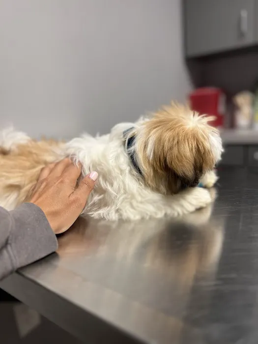 West End Animal Wellness Center Picture 6