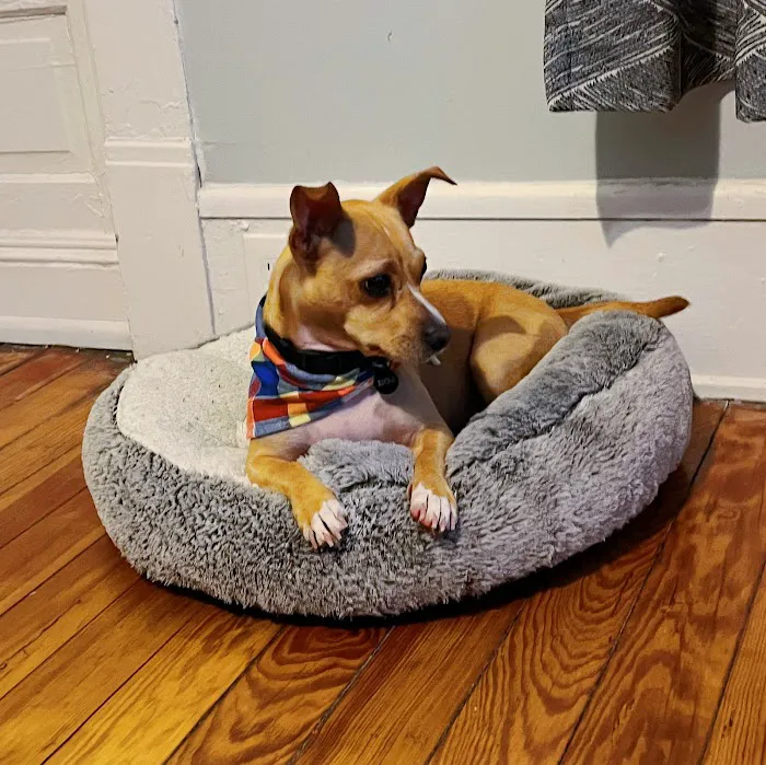 West End Animal Wellness Center Picture 9