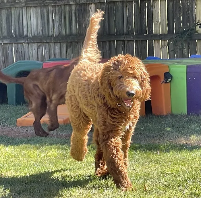 Banfield Pet Hospital Picture 3