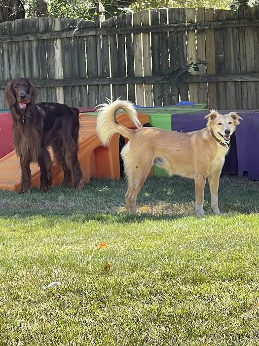 Banfield Pet Hospital Picture 2