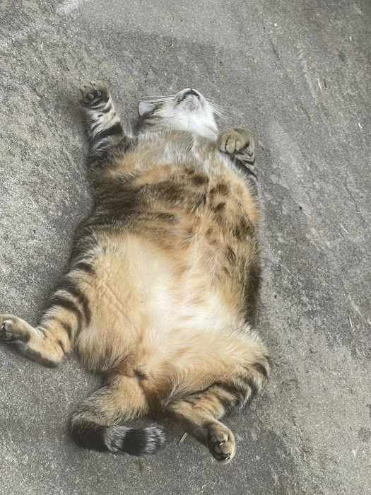 Banfield Pet Hospital Picture 4