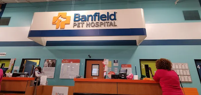 Banfield Pet Hospital Picture 7