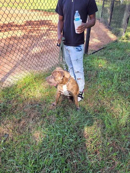 Banfield Pet Hospital Picture 8