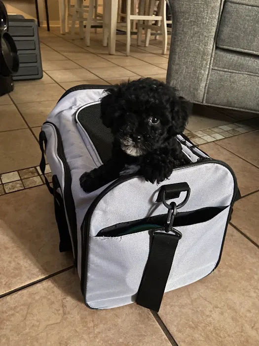 Banfield Pet Hospital Picture 9