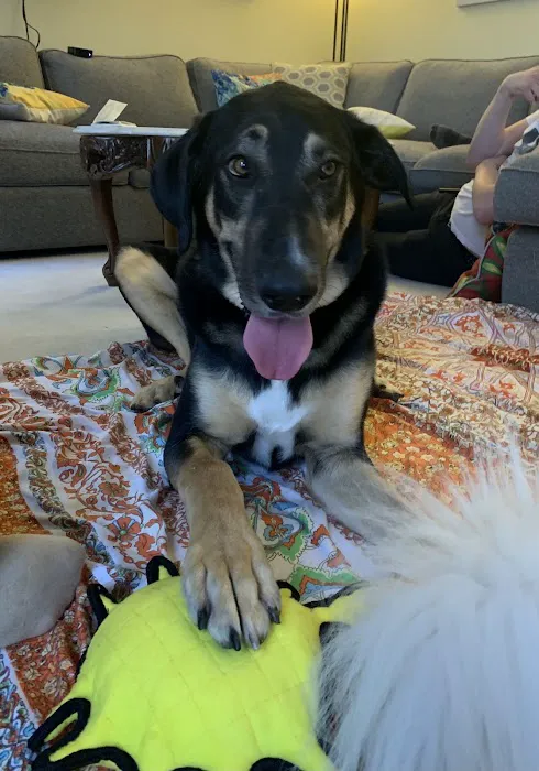 Pathway Animal Hospital and Urgent Care Picture 3