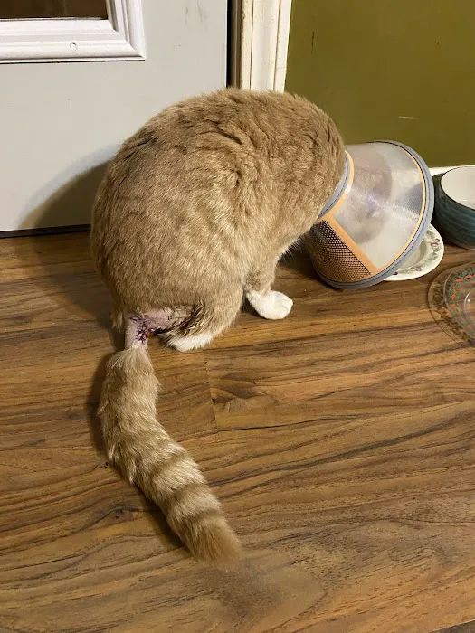 Pathway Animal Hospital and Urgent Care Picture 2