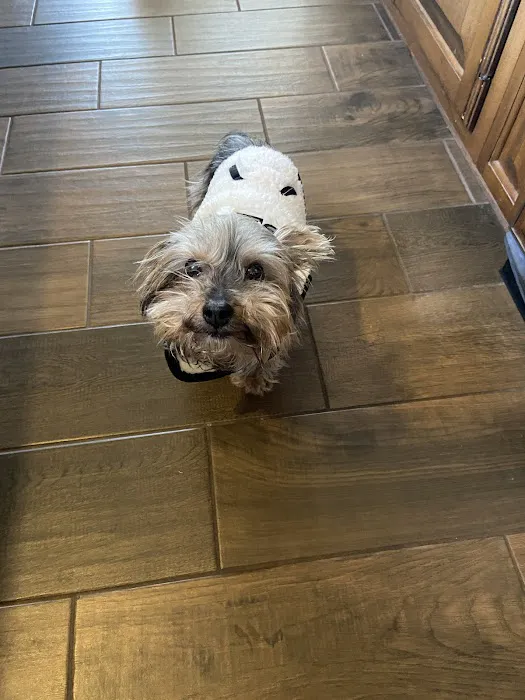 Pathway Animal Hospital and Urgent Care Picture 4