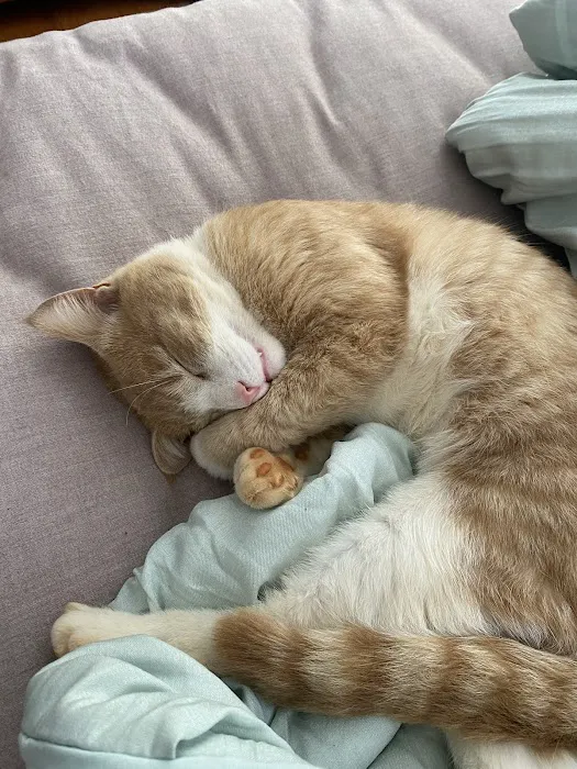 Pathway Animal Hospital and Urgent Care Picture 5