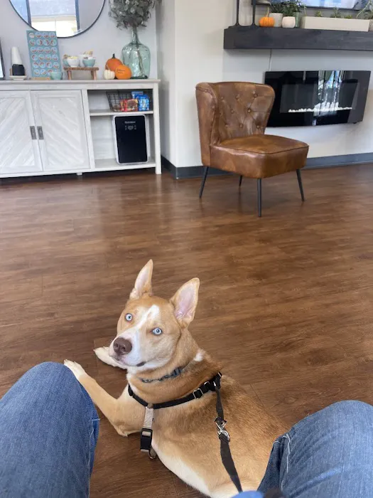 Pathway Animal Hospital and Urgent Care Picture 8