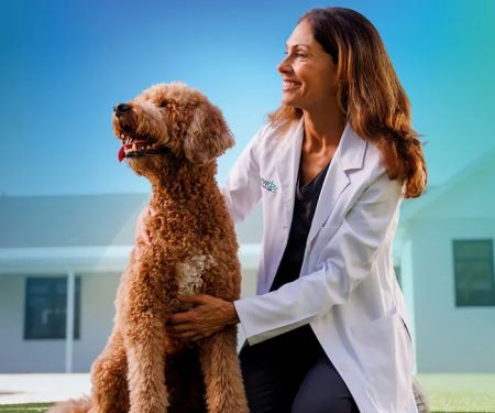 NewDay Veterinary Care