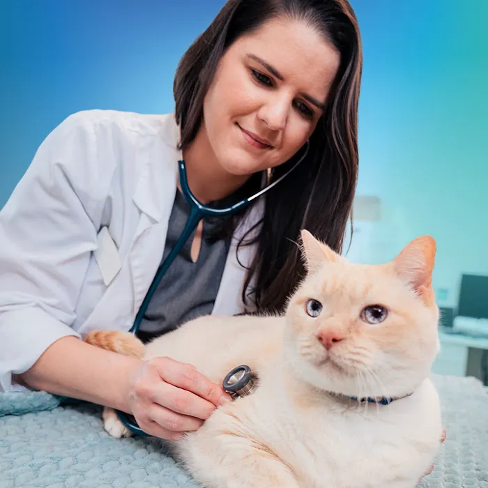 NewDay Veterinary Care Picture 5