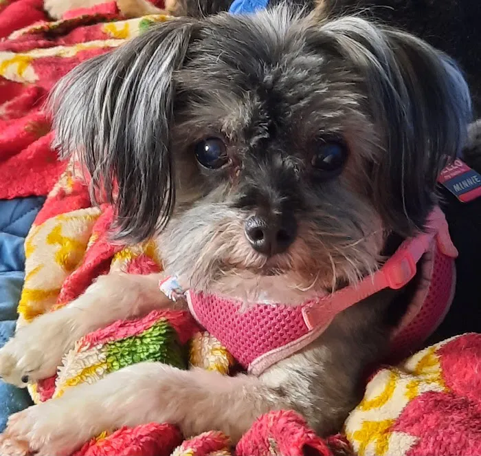 East Coweta Veterinary Hospital Picture 3