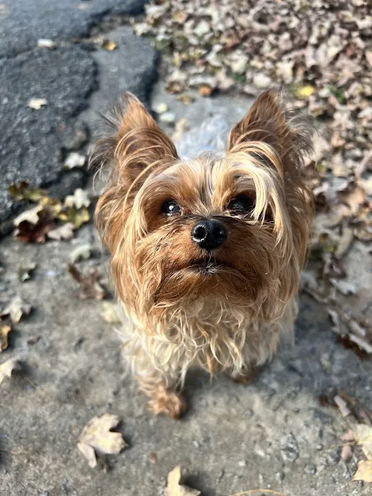 East Coweta Veterinary Hospital Picture 4