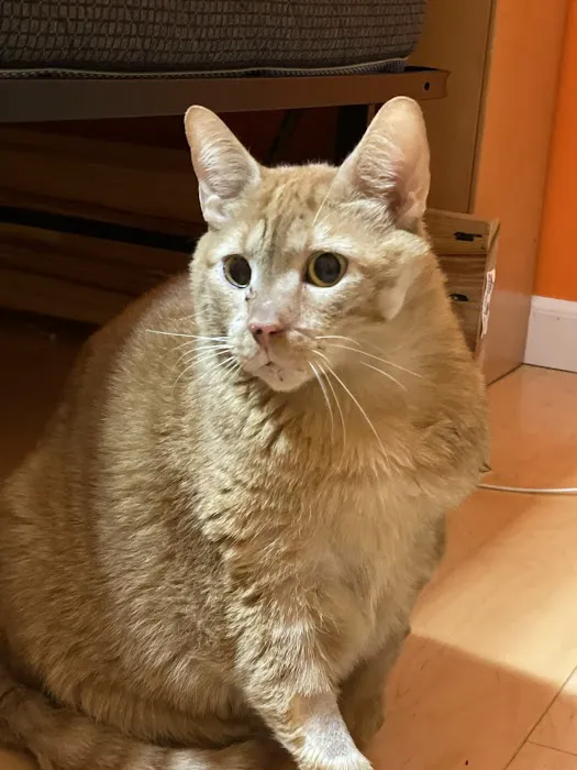 East Coweta Veterinary Hospital Picture 5