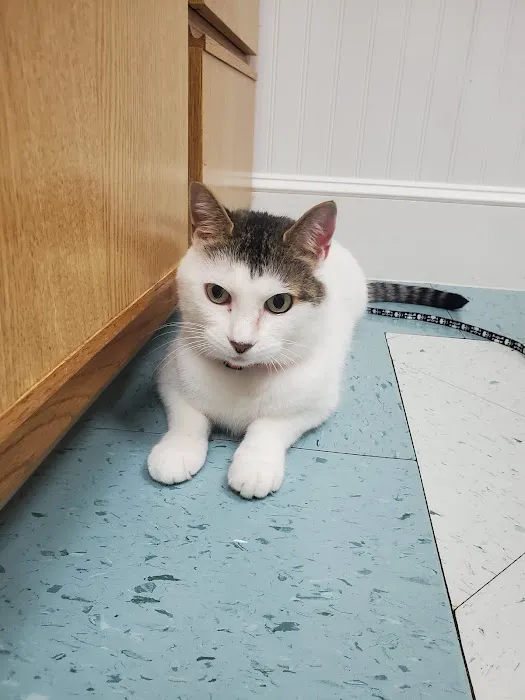 East Coweta Veterinary Hospital Picture 2