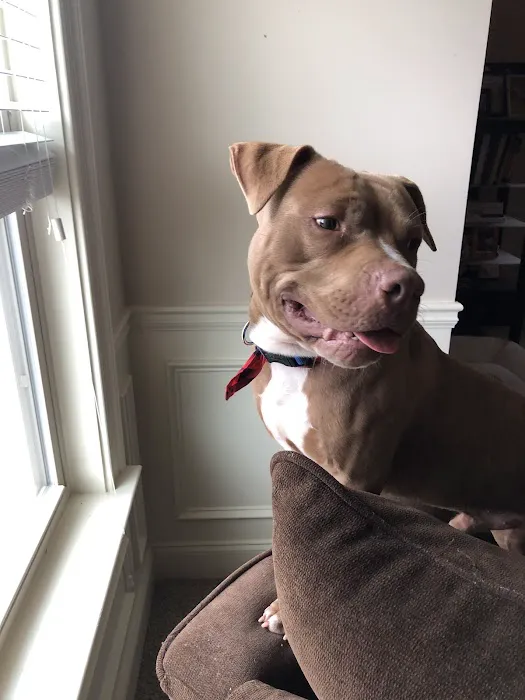 East Coweta Veterinary Hospital Picture 8