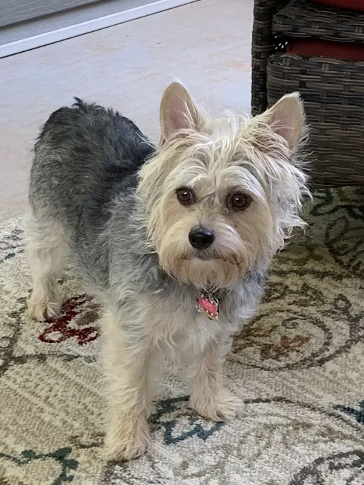 East Coweta Veterinary Hospital Picture 9