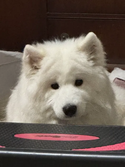 East Coweta Veterinary Hospital Picture 10